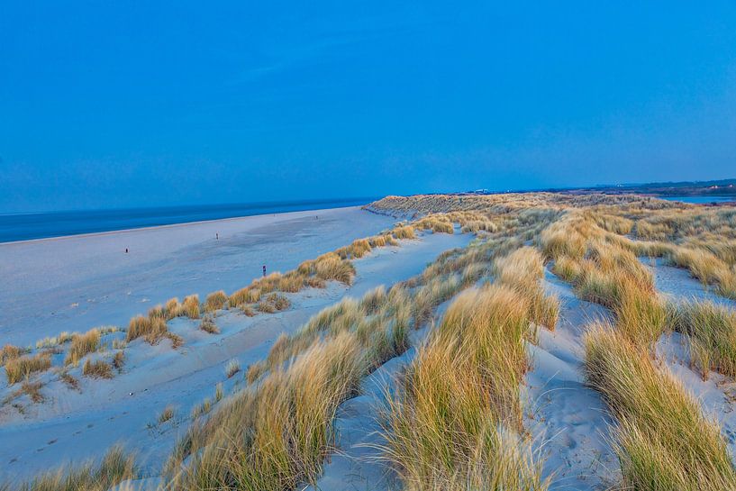 Helmgras in de Duinen van Texel. Eierland van Kevin Baarda