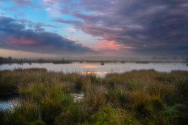 Drenthe sur Peet de Rouw