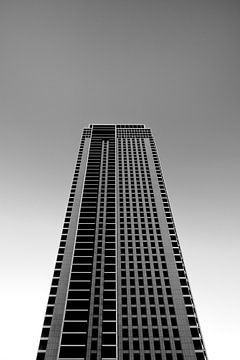Rotterdam, Zalmhaventoren in zwart wit gefotografeerd