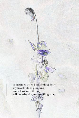 Sans fin sur Carla Vermunt