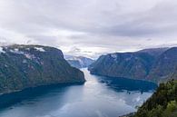 Aurland fjord op een bewolkte dag van Mickéle Godderis thumbnail