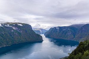 Aurland fjord op een bewolkte dag van Mickéle Godderis
