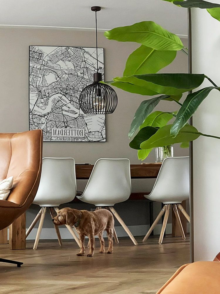 Stadskaart Rotterdam - Stad - Lichte variant - Zuid-Holland Plattegrond  van Locus Studio 