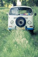 VW T2