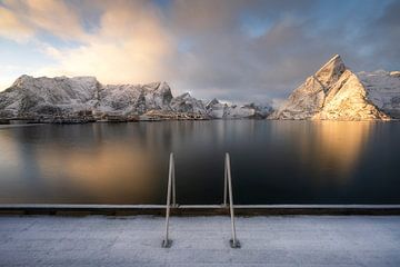 Winter swimming in Lofoten, Norway
