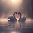 Swans in love by Black Coffee thumbnail