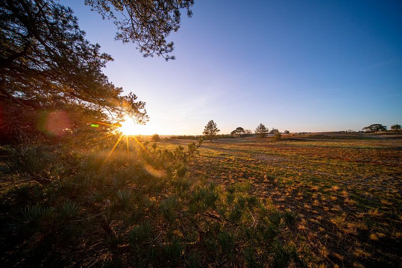Sonnenuntergang über der Veluwe, Beekhuizerzand von John Ozguc