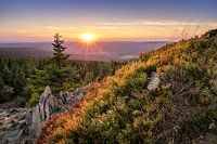 Dreamlike in the Harz Mountains