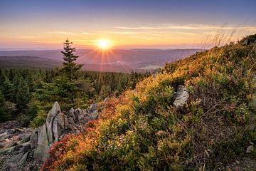 Dromerig in het Harz gebergte van Steffen Henze