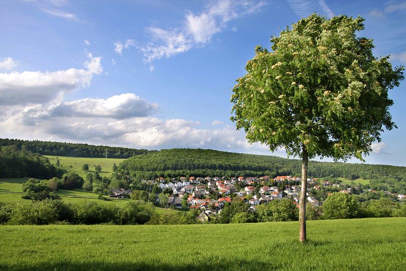 Das Dorf Engenhahn im Taunus von Christian Müringer