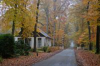 Herbst Gravenallee Almelo