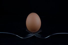 Œuf équilibré sur Julia Meijer