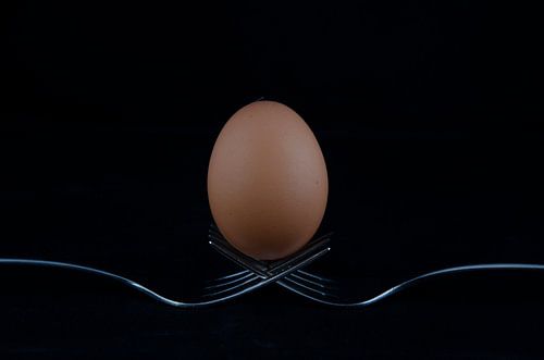 Ausgewogenes Ei