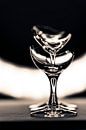 3 cracked glasses by Stephan Zaun thumbnail