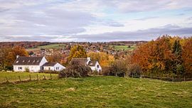 Bommerig by Rob Boon