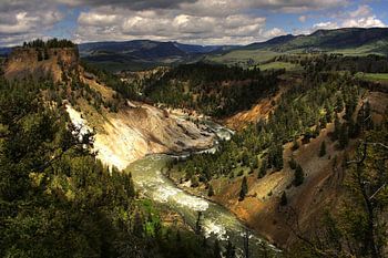 Up a River Without a Paddle