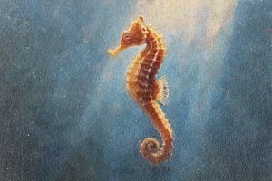 Schwimmendes Seepferdchen