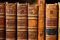 Antiquarian bookshop - old books in shades of brown