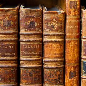 Antiquarian bookshop - old books in shades of brown by Marianne Ottemann - OTTI