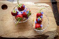 Dîner de légumes primitifs