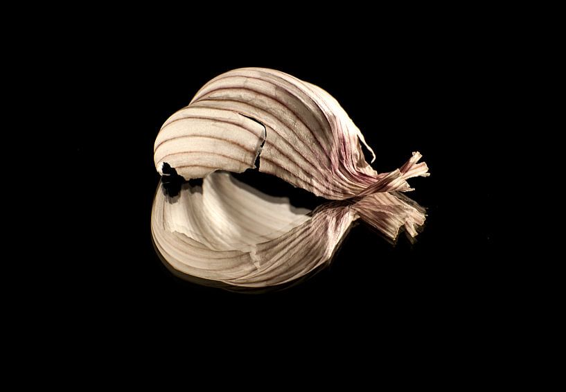Feuille d'ail miroir, feuille d'ail par Hans Staphorst