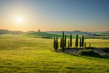 Landschaft in der Maremma. Sanfte Hügel und Zypressen.