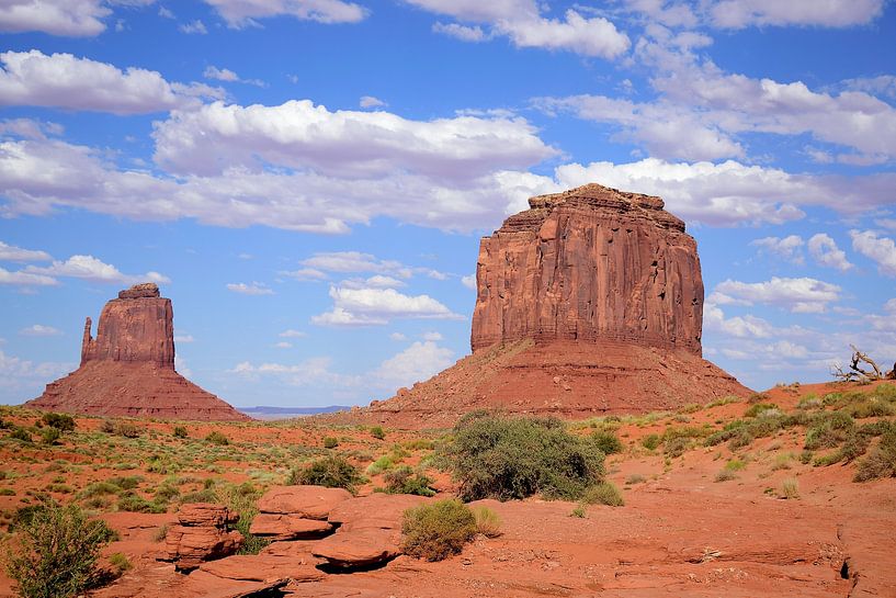 East Mitten Butte &amp; Merrick Butte von Frank's Awesome Travels