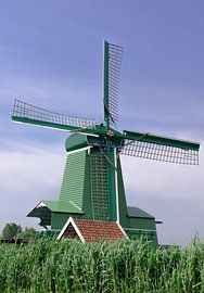 Windmolen in het groen van S. van Dijk