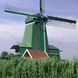 Windmolen in het groen van S. van Dijk