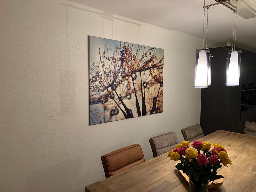 Pusteblume Farbspektrum  von Julia Delgado 