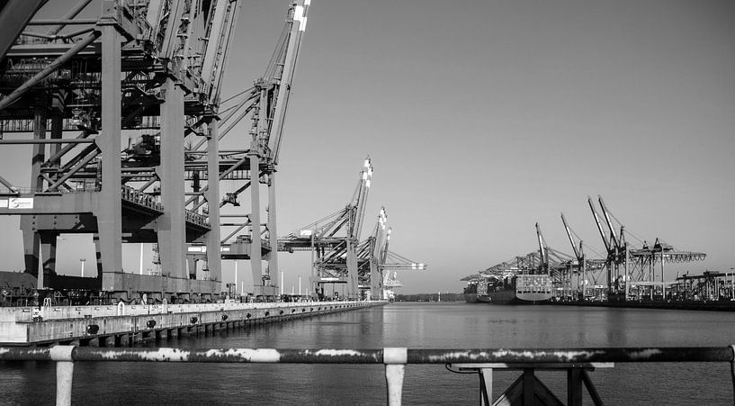 Waltershofer Hafen von Norbert Sülzner