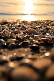 Baltic Sea at sunrise by Thomas Jäger