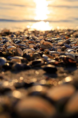 Baltic Sea at sunrise