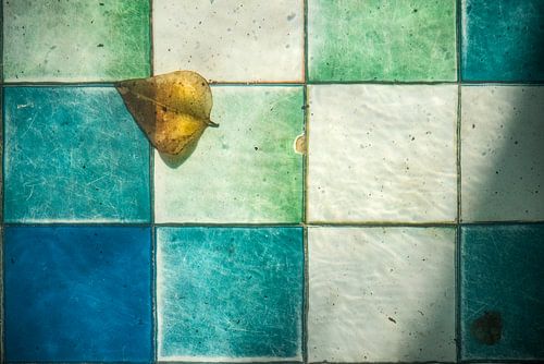 Stilleben...auf dem Grund eines Teiches