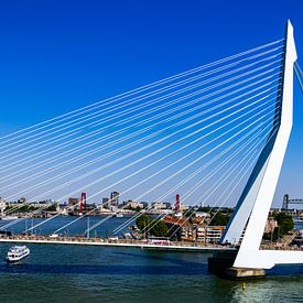 Rotterdam 3 Brücken von Hans Verhulst