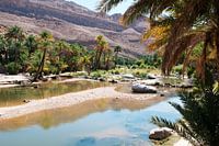 Water geeft koelte in een wadi