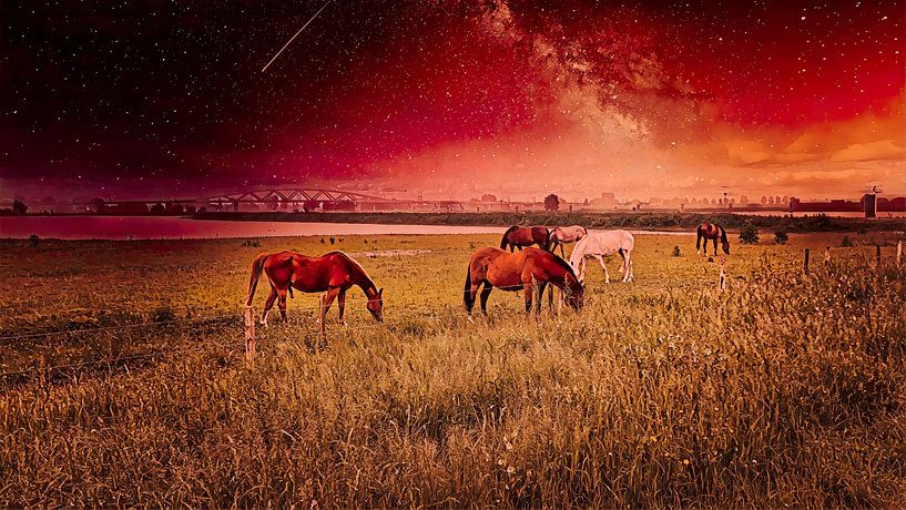 Paarden onder sterrenhemel bij rivier van Digital Art Nederland