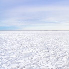 Winter aan het IJsselmeer 2021 van Etienne Hessels