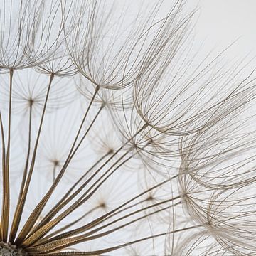 Een vierkant met een kwart pluizenbol van Marjolijn van den Berg