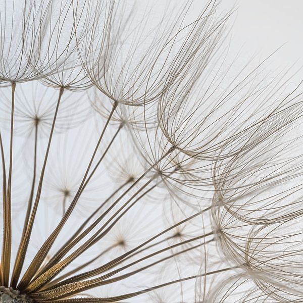 A square with a quarter fluff ball by Marjolijn van den Berg