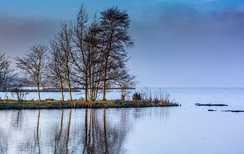 Mist in de namiddag zon