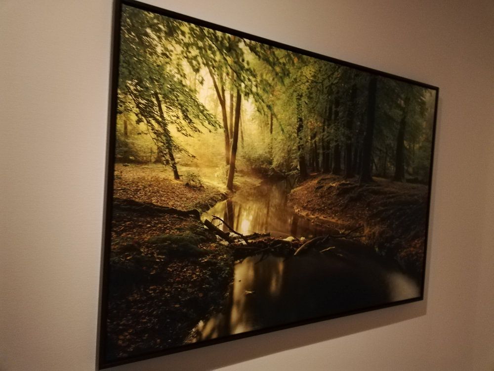 Nebenfluss in einem Buchebaumwald während eines frühen Herbstmorgens  von Sjoerd van der Wal Fotografie 