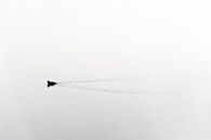 Meerkoet zwemt door kalm water in de mist van Wim Slootweg thumbnail