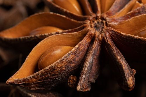 Warme kleuren van steranijs (close-up)