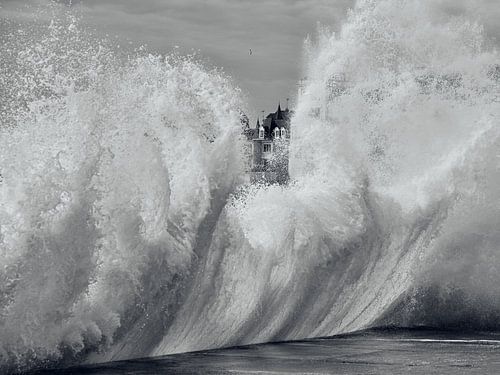 Power of nature (black-white) by Marloes van Pareren