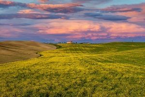 Paysage toscan dans le Val d'Orcia