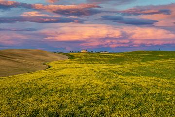 Tuscan landscape in Val D'Orcia by Ilya Korzelius