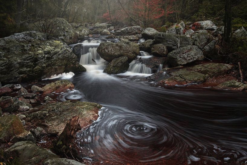 The forbidden pool van Roelie Steinmann