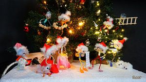 Liste de souhaits de Noël des Fubby.