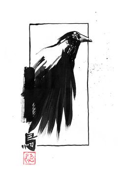 crow edge